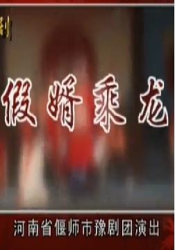 豫剧《假婿乘龙》全场戏 - 王艺红、张艳萍、郭民江主演，精彩绝伦的戏曲盛宴下载