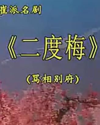 豫剧《二度梅》 崔兰田主演经典剧目，音配像版欣赏下载