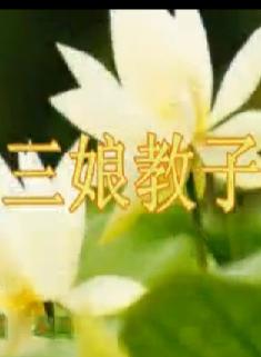 川剧胡琴《三娘教子》全本戏下载 - 张雪梅主演下载