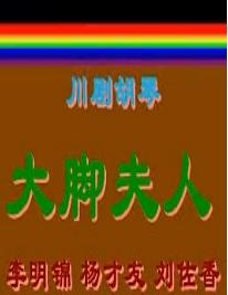 川剧胡琴《大脚夫人》全集在线观看 - 经典川剧剧目推荐下载