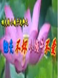 安徽民间小调 姐夫不坏小姨子不爱 - 精彩剧情不容错过 安徽民间小调 姐夫不坏小姨子不爱 - 精彩剧情不容错过