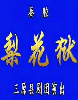 陕西秦腔《梨花狱》- 李正敏、张咏华、苏育民主演 - 经典秦腔剧目下载下载