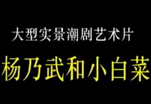 潮剧经典剧目《杨乃武与小白菜》在线观看 - 高清画质免费播放下载
