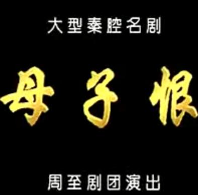 秦腔《母子恨》（忤逆坟）【柳水涛_高彩过_齐晓春】 下载