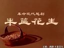 越剧经典《半篮花生》1974年老电影 - 何赛飞主演，精彩剧情不容错过！下载
