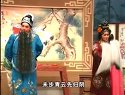 双珠图