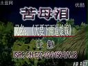 安徽地方戏庐剧《苦母泪》全集 - 经典剧目在线观看下载