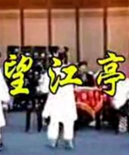 庙口歌仔戏《望江亭》全集在线观看 - 唐美云主演精彩演绎