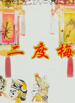 唐山皮影戏《二度梅》下载 - 经典戏曲剧目高清资源