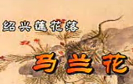 绍兴莲花落《马兰花》 经典戏曲，讲述动人爱情故事下载