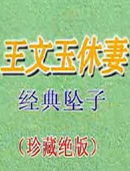 河南坠子《王文玉休妻》- 九子图经典剧目 - 胡中花演唱版下载