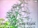 福州闽剧《包公误》上集 - 经典戏曲下载，包公断案传奇，高清音质体验下载