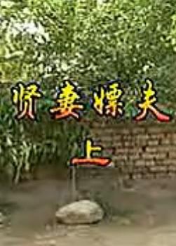 贤妻嫖夫