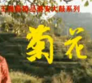 上党鼓书《菊花》下载 - 经典戏曲全剧高清版 上党鼓书《菊花》下载 - 经典戏曲全剧高清版