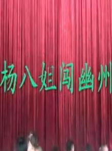 婺剧《杨八姐闯幽州》 