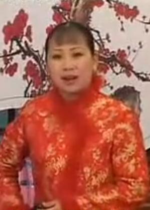 河南坠子《恶闺女》- 胡中花主演，经典剧目赏析