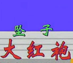 河南坠子《大红袍》全集 MP3 视频下载 - 经典戏曲资源