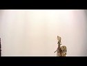 狸猫换太子皮影戏_选段（唐山皮影） - 经典传统戏剧在线观看及下载