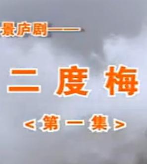 庐剧《二度梅》全集在线观看 - 昂小红、李小平主演经典戏曲下载下载