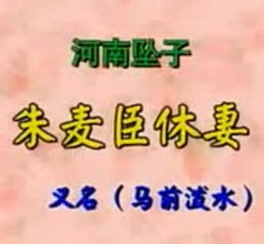 河南坠子《朱麦臣休妻》- 朱立忠精彩演绎，剧情跌宕起伏，不容错过！