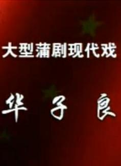 山西蒲剧《华子良》全场戏【郭安存】 山西蒲剧《华子良》全场戏【郭安存】