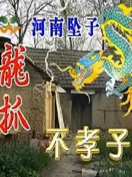 龙抓不孝子
