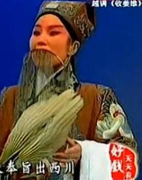 越调《智收姜维》音配像全集 - 申凤梅、申小梅主演，精彩剧情不容错过！下载