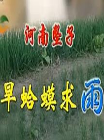 旱蛤蟆求雨