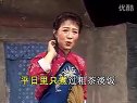 王汉喜借年 豫剧经典剧目 张美琴 李金榜 主演 剧情简介下载
