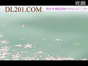 大明宫词