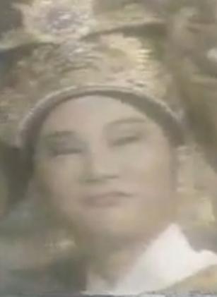 叶青歌仔戏《杨家将》 经典戏曲，杨家将忠烈传奇，精彩剧情不容错过！下载
