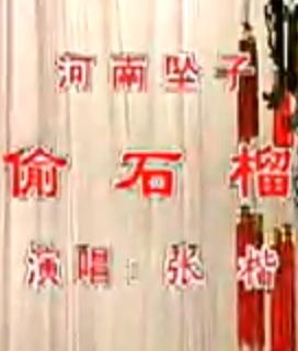 河南坠子《偷石榴》 经典曲目，讲述邻里间的趣味故事