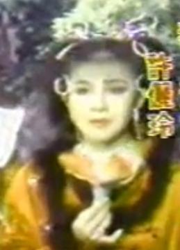 叶青歌仔戏《薛丁山救五美》 经典戏曲，精彩绝伦！下载