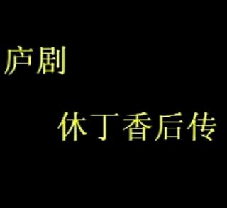 庐剧《休丁香后传》- 经典庐剧剧目，精彩剧情不容错过