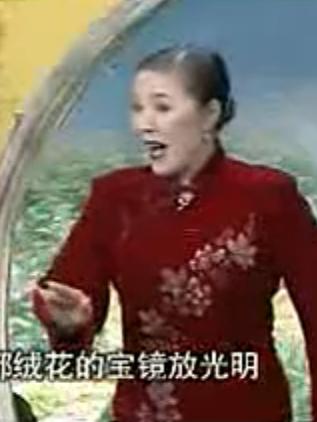 河南坠子《五梅七枪反唐传》- 经典戏曲下载 - 莫红梅主演