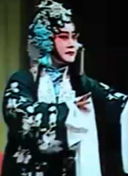 楚剧《包公赔情》全集高清在线观看 - 经典戏曲下载站下载