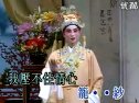 醉折海棠花 醉折海棠花