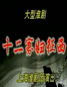 十二寡妇征西 淮剧经典剧目 李开敏主演 杨家将故事 古装戏曲下载下载