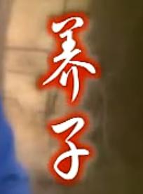 上党鼓书《养子》在线观看 - 经典剧目全本播放 | 戏曲下载网 上党鼓书《养子》在线观看 - 经典剧目全本播放 | 戏曲下载网