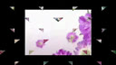 四平调《报花名》选段 - 经典戏曲欣赏