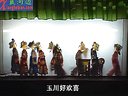 天门市大型传统皮影戏《蝴蝶杯》- 经典戏曲下载 - 707大团圆版下载