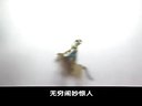 刘秀走国（松棚会）