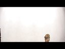 唐山皮影戏《狸猫换太子》4-6集全剧下载 - 经典戏曲剧目在线观看 唐山皮影戏《狸猫换太子》4-6集全剧下载 - 经典戏曲剧目在线观看