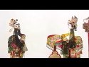 唐山皮影戏 李迪被害 经典剧目 戏曲下载下载