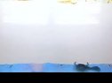 唐山皮影戏《五锋会后传》 经典剧目,精彩绝伦! 唐山皮影戏《五锋会后传》 经典剧目,精彩绝伦!