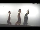 天门市大型传统皮影戏--双珠球之仆谋主认亲 天门市大型传统皮影戏--双珠球之仆谋主认亲