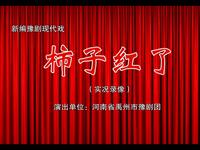 新编豫剧现代戏《柿子红了》上集下载，颜永江程金红主演，禹州市豫剧团精品呈现