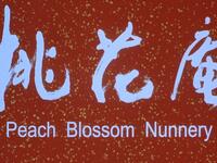 豫剧《桃花庵》全集超清版在线观看，张宝英郭惠兰经典演绎，传统戏曲佳作