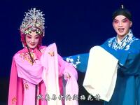豫剧《红梅记》全场戏在线观看_河南豫剧院青年团经典剧目高清下载