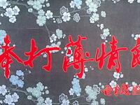 豫剧电影《棒打薄情郎》全集超清版在线观看下载，经典戏曲资源一键获取